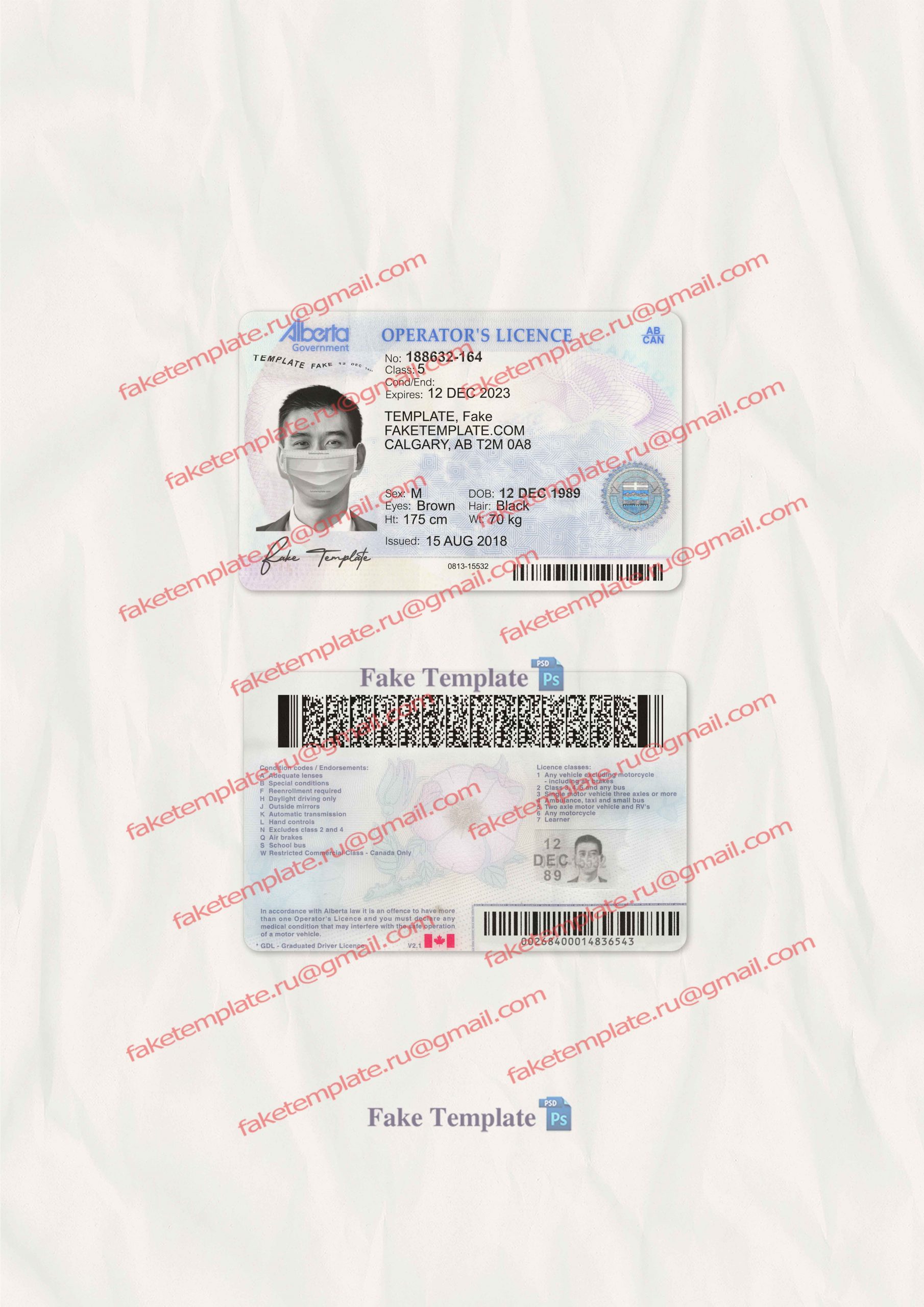 blank_alberta_drivers_license_template_06 fake alberta drivers license
