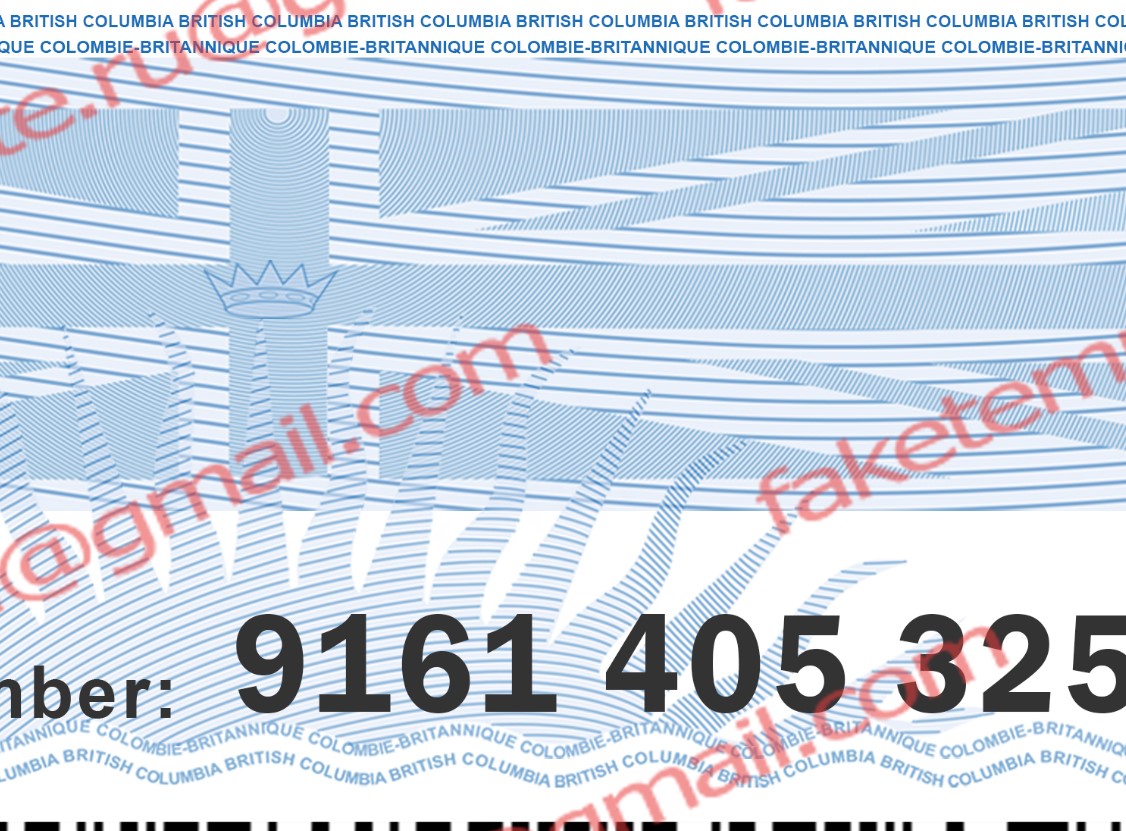 fake bc driver license back