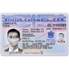 bc drivers license psd