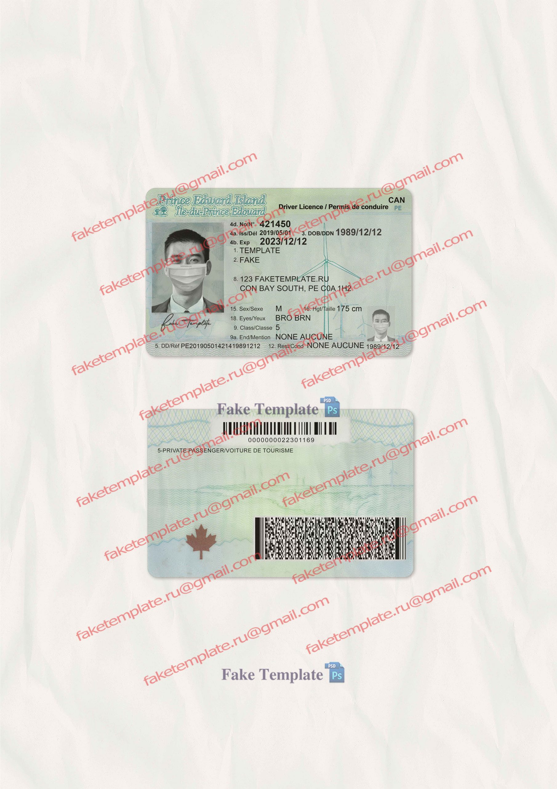 pe driver license template 04 pe driver license template
