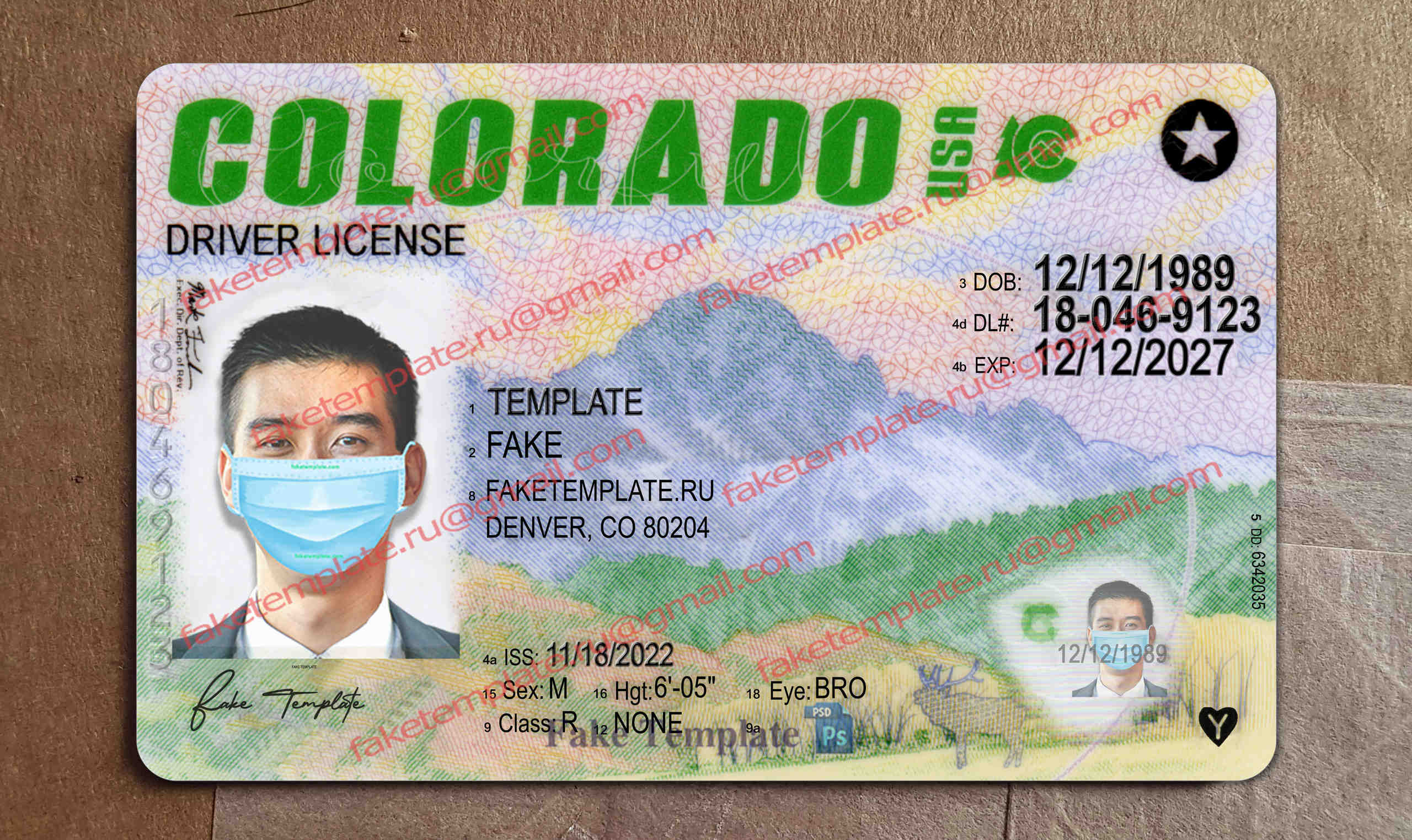 colorado drivers license template download colorado drivers license template download