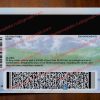 back colorado drivers license